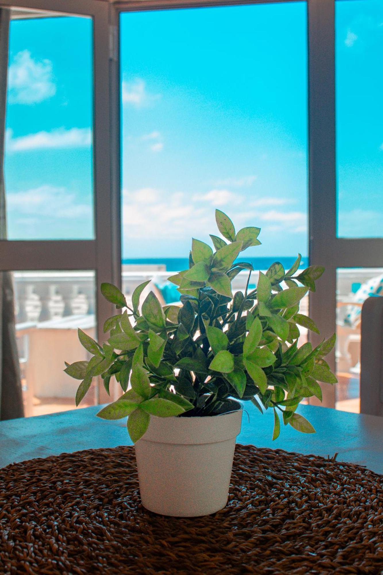 Vista Mar - Seafront Holiday Apartments Santa María Exterior foto